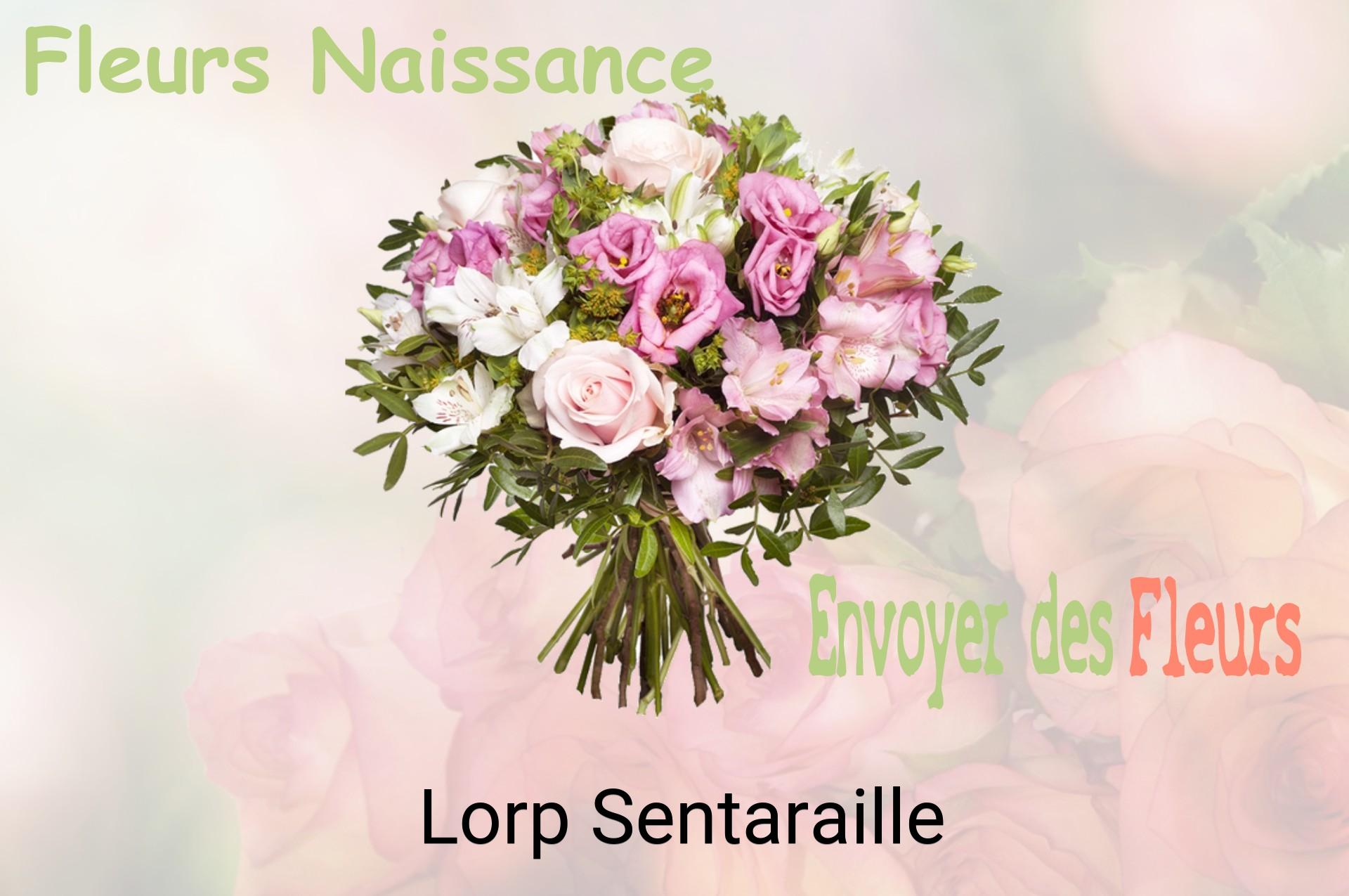 Bouquet de fleurs de naissance livré à Lorp-Sentaraille